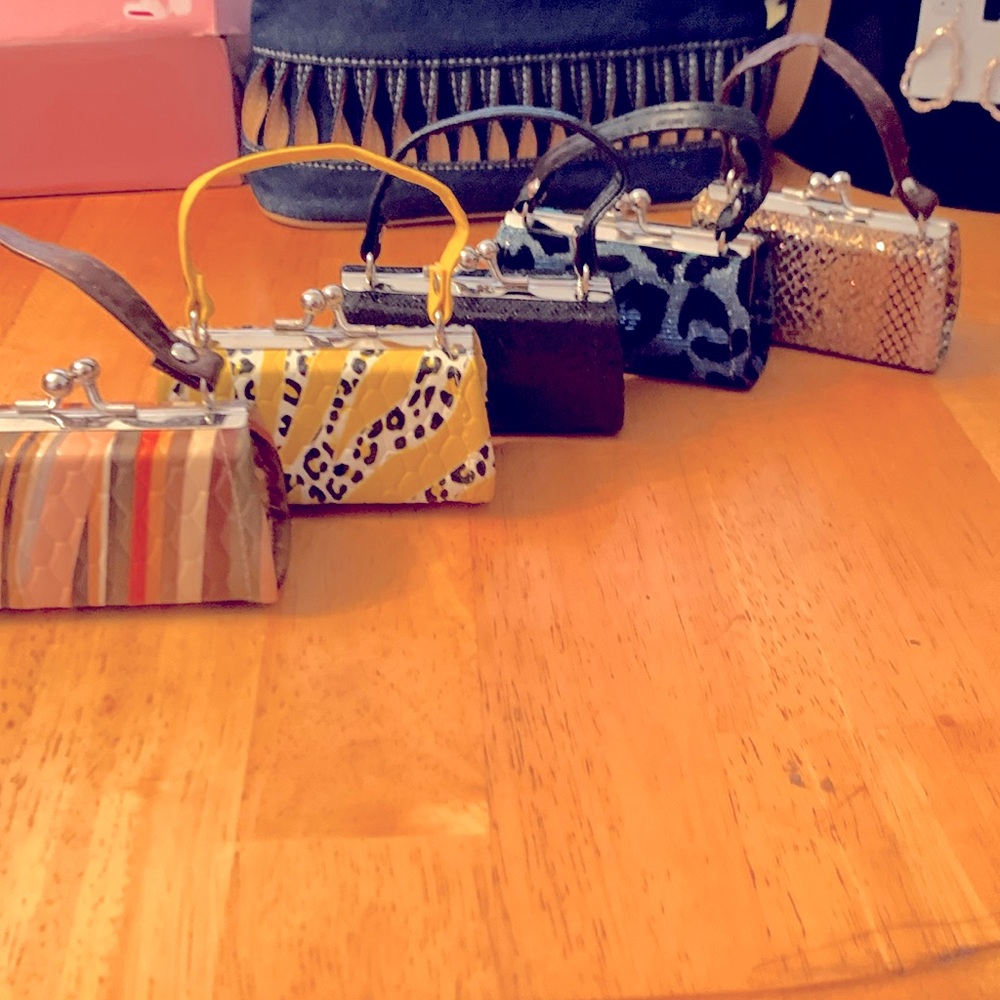 NWOT ,Mini (coins /lips stick) bag